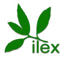 Ilex Logo